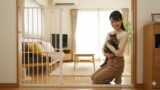 賃貸の猫の脱走防止！原状回復できる壁を傷つけない対策とアイデア