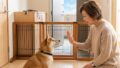 玄関での犬の脱走防止！賃貸や大型犬にも合わせた対策