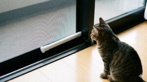 閉まった網戸と窓枠のサッシレールに、短くて白い100均の突っ張り棒が横向きに固定されている。猫が網戸をスライドさせようとしても開かない様子を表現。