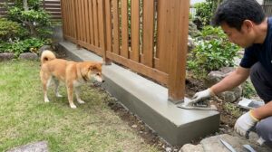 犬の穴掘りによる脱走を防ぐため、フェンス下に埋め込まれたコンクリート基礎。