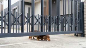小型犬（ミニチュアダックスフンド）のすり抜けを防ぐ、地面との隙間が狭い（約5cm）ペットガード仕様の伸縮門扉。