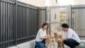 犬の脱走防止！庭や門扉の安全対策と選び方