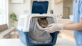 キャリーからの猫の脱走防止！キャリーと洗濯ネットの二重ロック