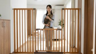来客時の猫の脱走防止対策！玄関ゲートとルールで一瞬の隙も作らない