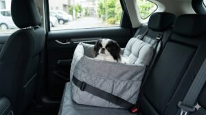 o 後部座席にシートベルトでしっかりと固定された、小型犬用の布製ドライブボックス。犬は中で落ち着いている。