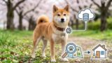 犬の迷子対策の基本！マイクロチップの登録と探し方