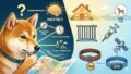 犬に帰巣本能はある？距離や仕組みと脱走時の対策