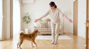 薄暗い夕暮れの道で、パニックになって走り去る柴犬に対し、追いかけずにその場にしゃがみ込み、背中を見せて落ち着くのを待つ日本人女性の飼い主。