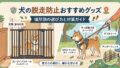 犬の脱走防止グッズ対策ガイド｜シーン別おすすめ対策まとめ
