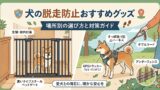 犬の脱走防止グッズ対策ガイド｜シーン別おすすめ対策まとめ