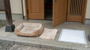 迷子犬を呼び戻すため、飼い主の匂いがついた愛犬のベッド、服、トイレシーツが置かれた日本の住宅の玄関先。