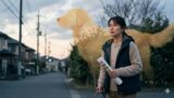 犬の迷子対策！脱走した愛犬を早く見つける具体的手順